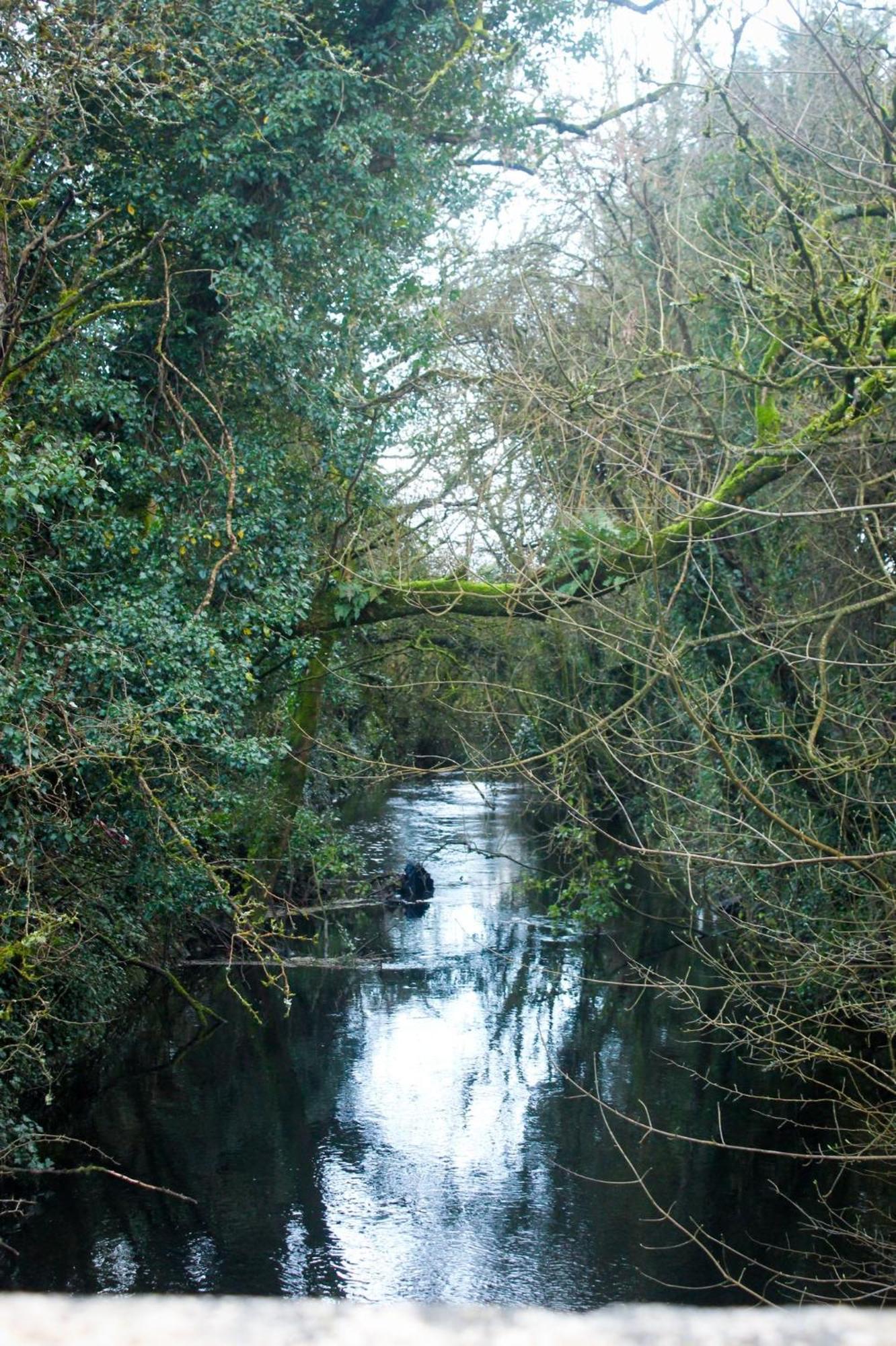 Riverside Cottage In The Burren Corofin  المظهر الخارجي الصورة